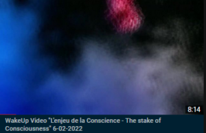 The skate of Consciousness VIDEO Without voices L'enjeu de la Conscience (sans voix off)